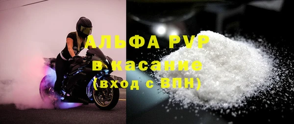 СК Аркадак