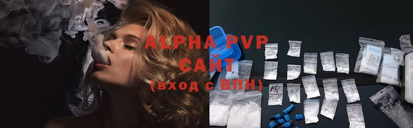 СК Аркадак