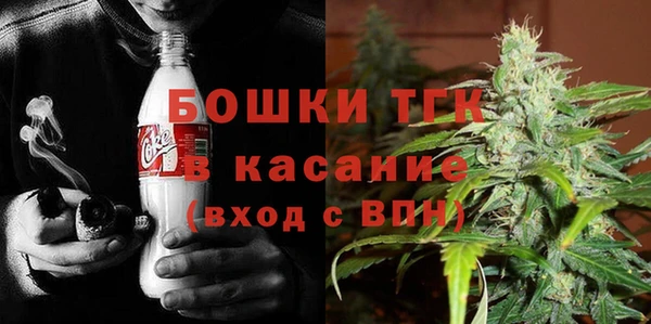 СК Аркадак