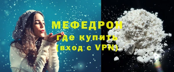 индика Елабуга