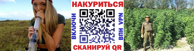 продажа наркотиков Стародуб Марихуана THC 21%